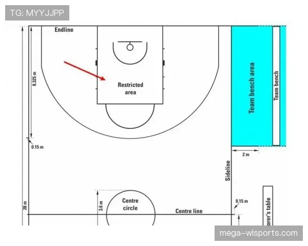 NBA与FIBA罚球规则有何不同？