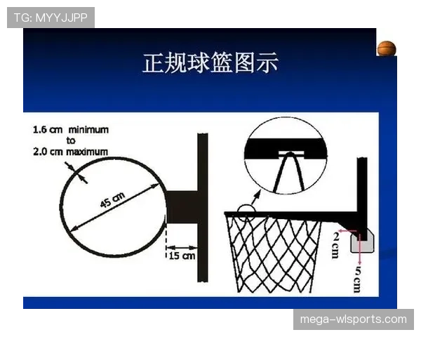 篮球规则深度解析：封盖犯规判定的具体依据